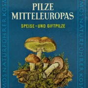 Pilze Mitteleuropas