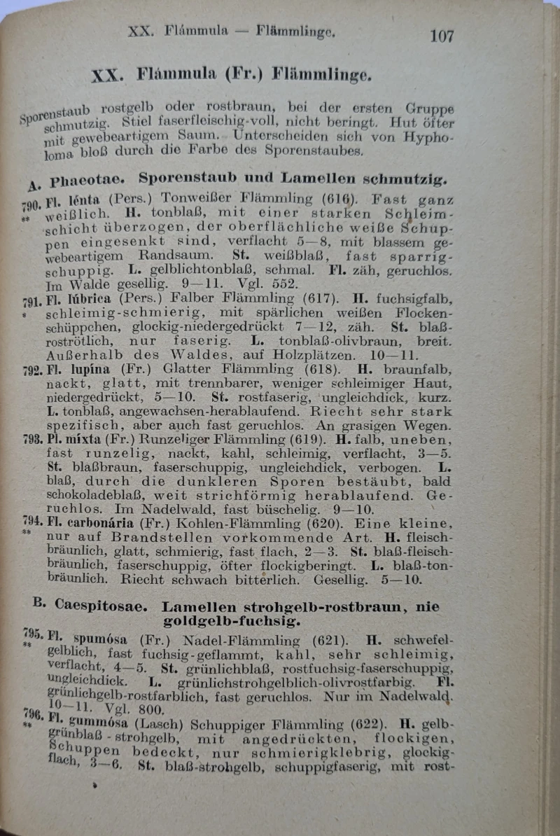 Vademecum für Pilzfreunde