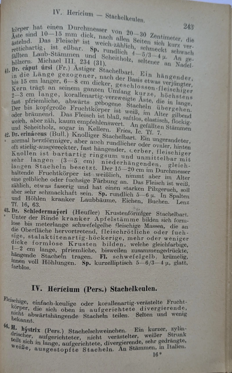Vademecum für Pilzfreunde
