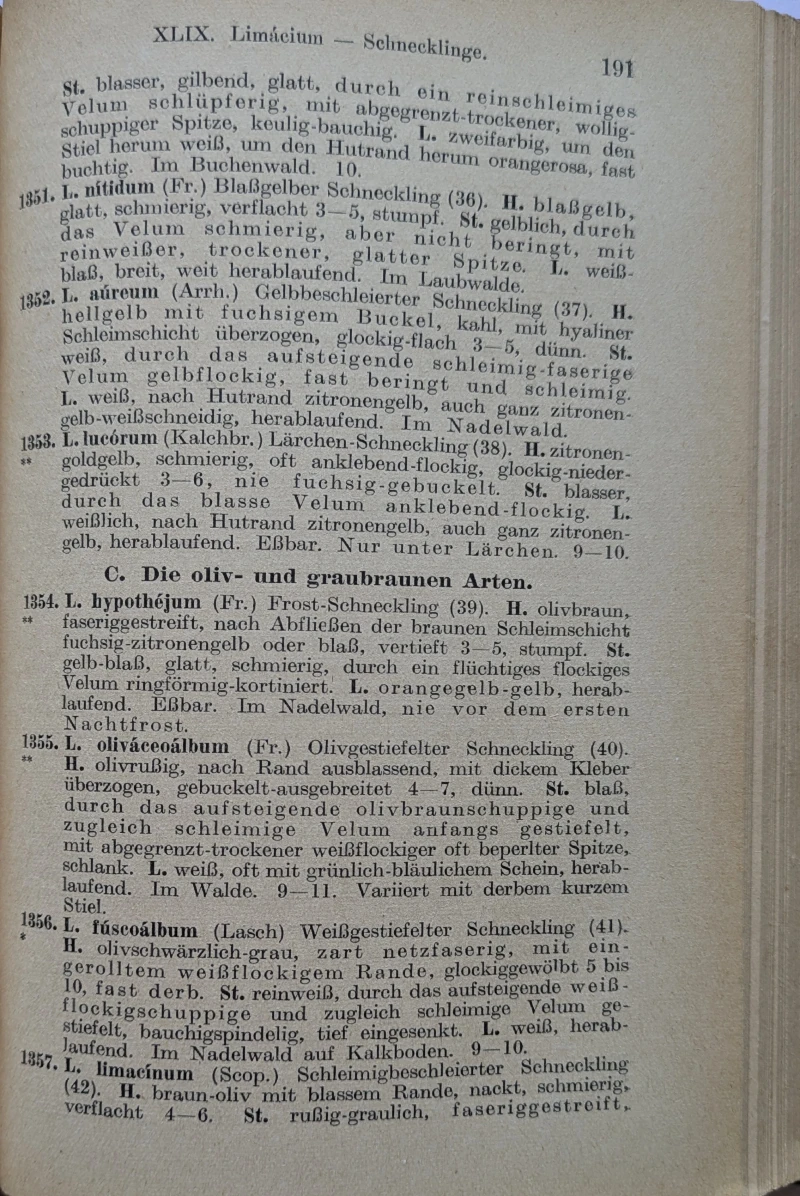 Vademecum für Pilzfreunde