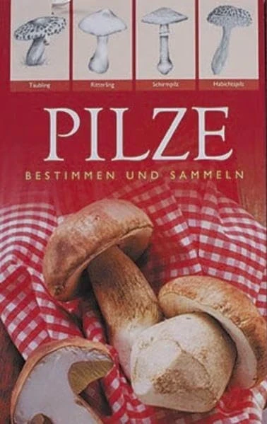 Pilze, Bestimmen und Sammeln
