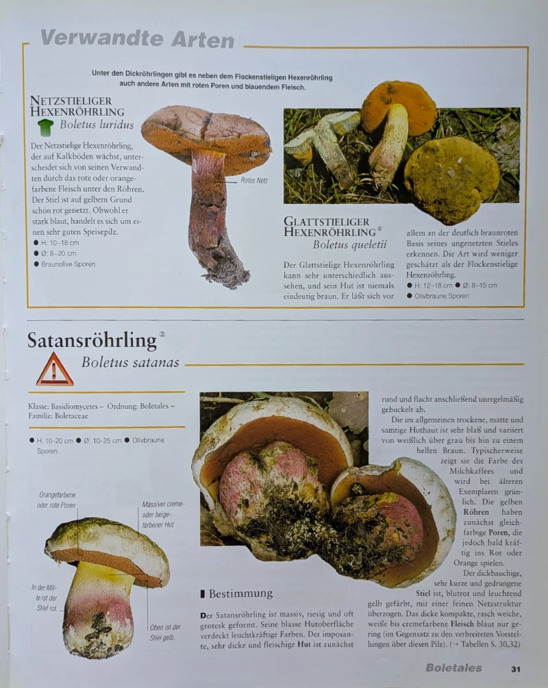 Der große Pilz-Atlas