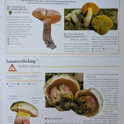 Der große Pilz-Atlas