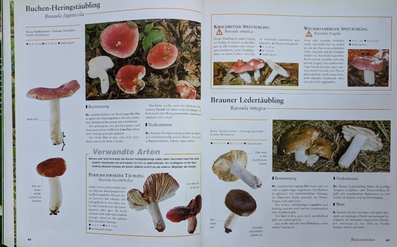 Der große Pilz-Atlas