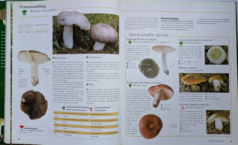 Der große Pilz-Atlas