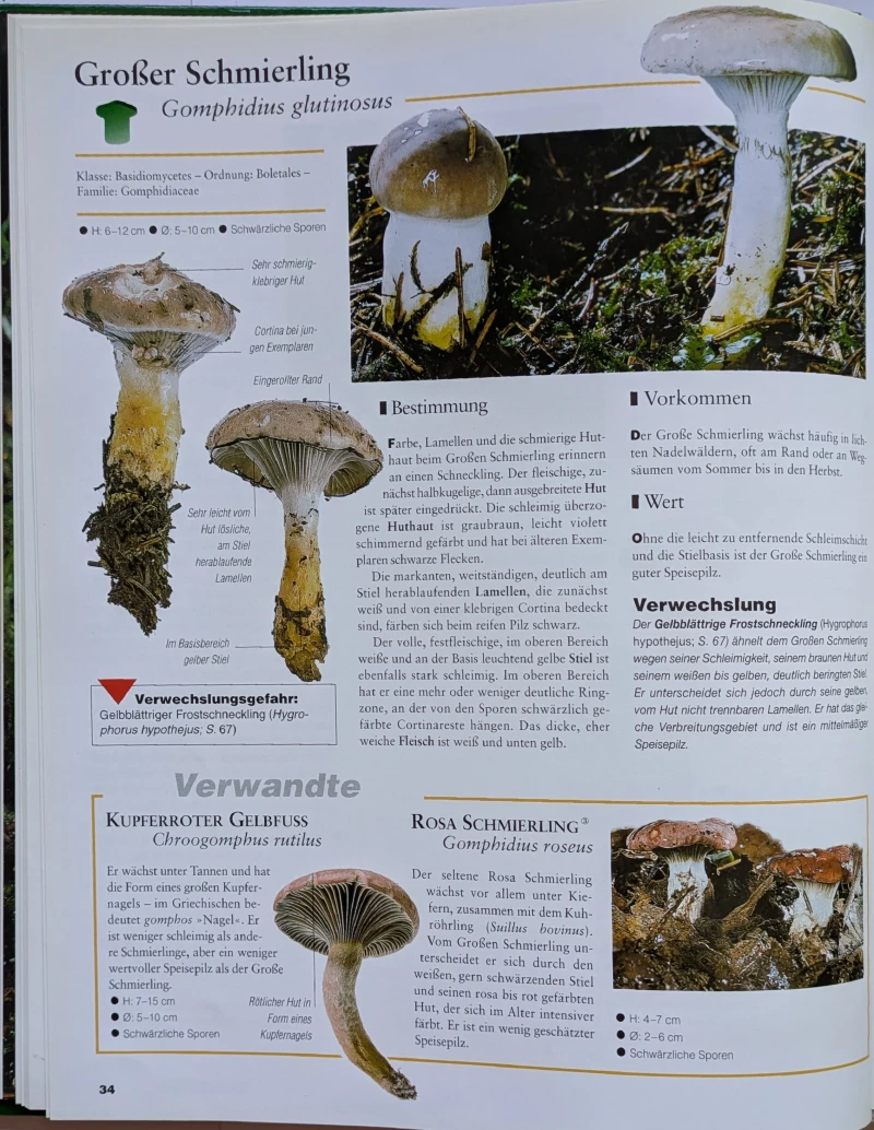Der große Pilz-Atlas