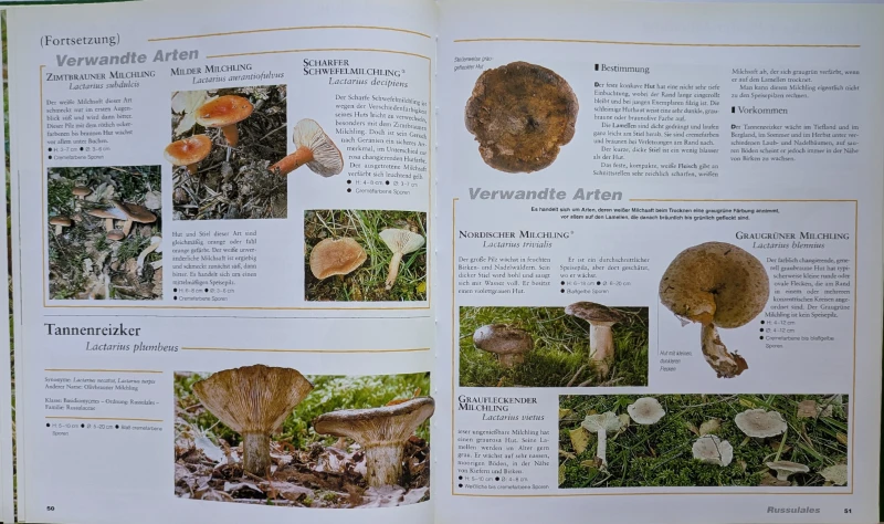 Der große Pilz-Atlas