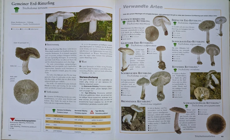 Der große Pilz-Atlas