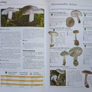 Der große Pilz-Atlas