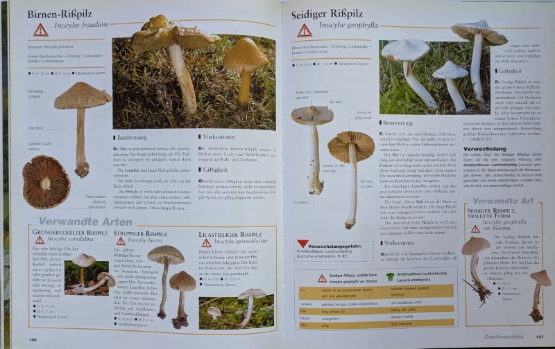 Der große Pilz-Atlas