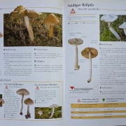 Der große Pilz-Atlas