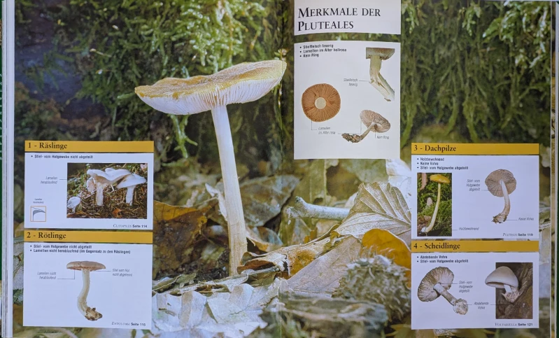 Der große Pilz-Atlas