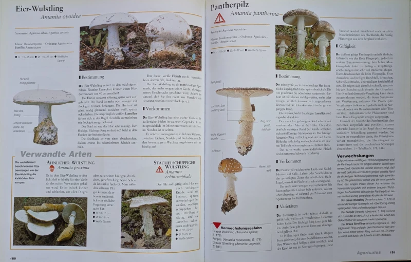 Der große Pilz-Atlas