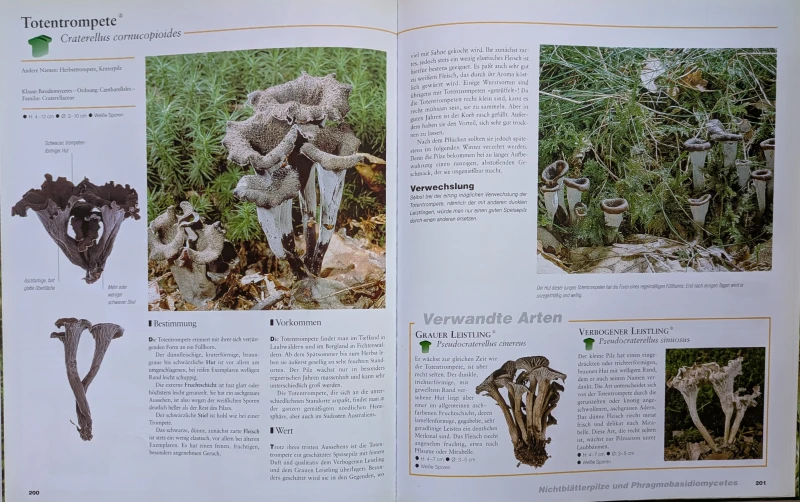 Der große Pilz-Atlas