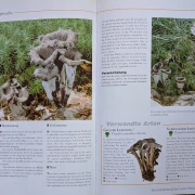 Der große Pilz-Atlas