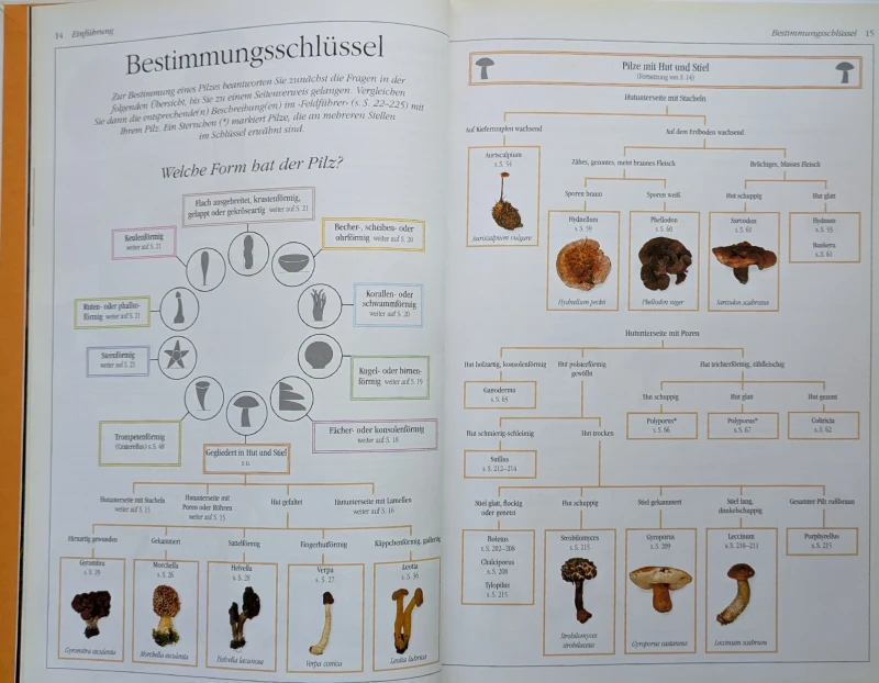 Der neue BLV Pilzatlas