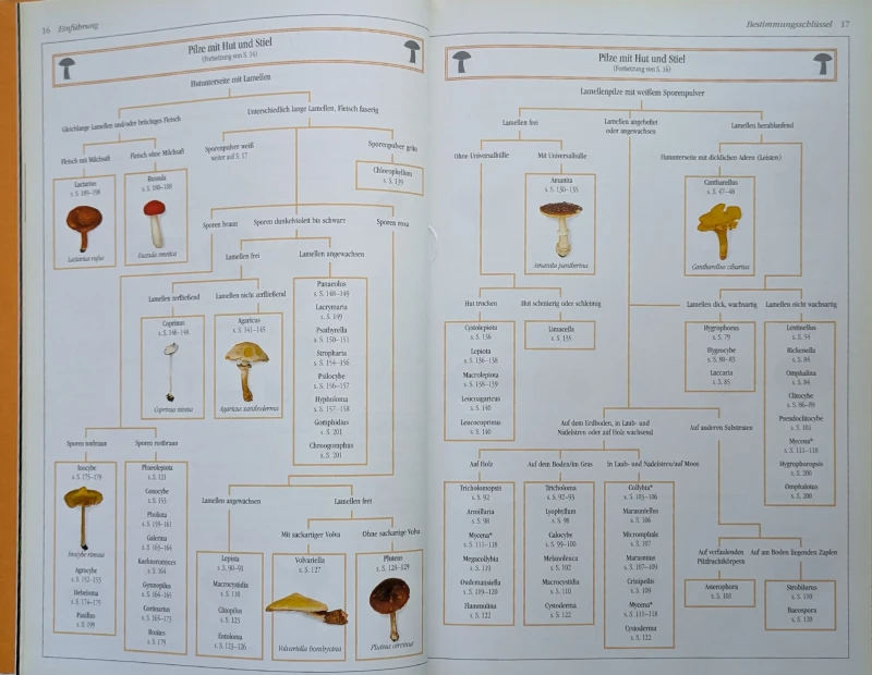 Der neue BLV Pilzatlas