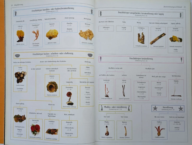 Der neue BLV Pilzatlas