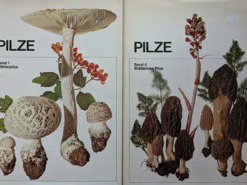 Pilze Band 1+2, Rarität