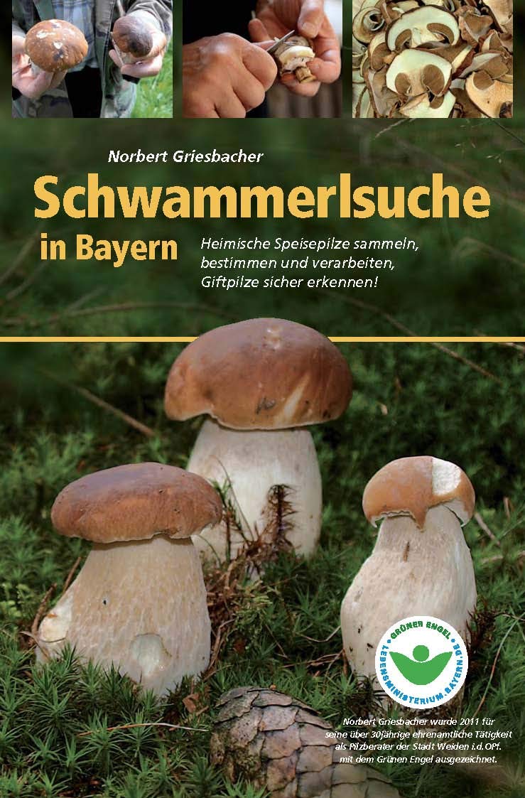 Schwammerlsuche in Bayern: Heimische Speispilze sammeln, bestimmen und verarbeiten, Giftpilze sicher erkennen!