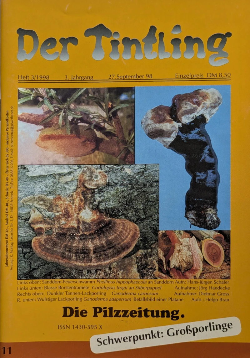Der Tintling - Ausgabe 11