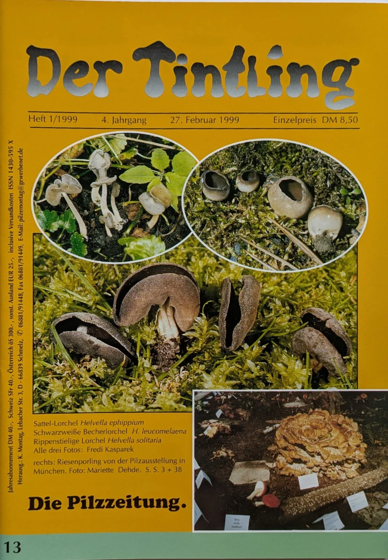 Der Tintling - Ausgabe 13