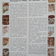 Der Tintling - Ausgabe 14