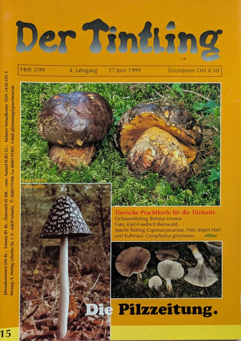 Der Tintling - Ausgabe 15