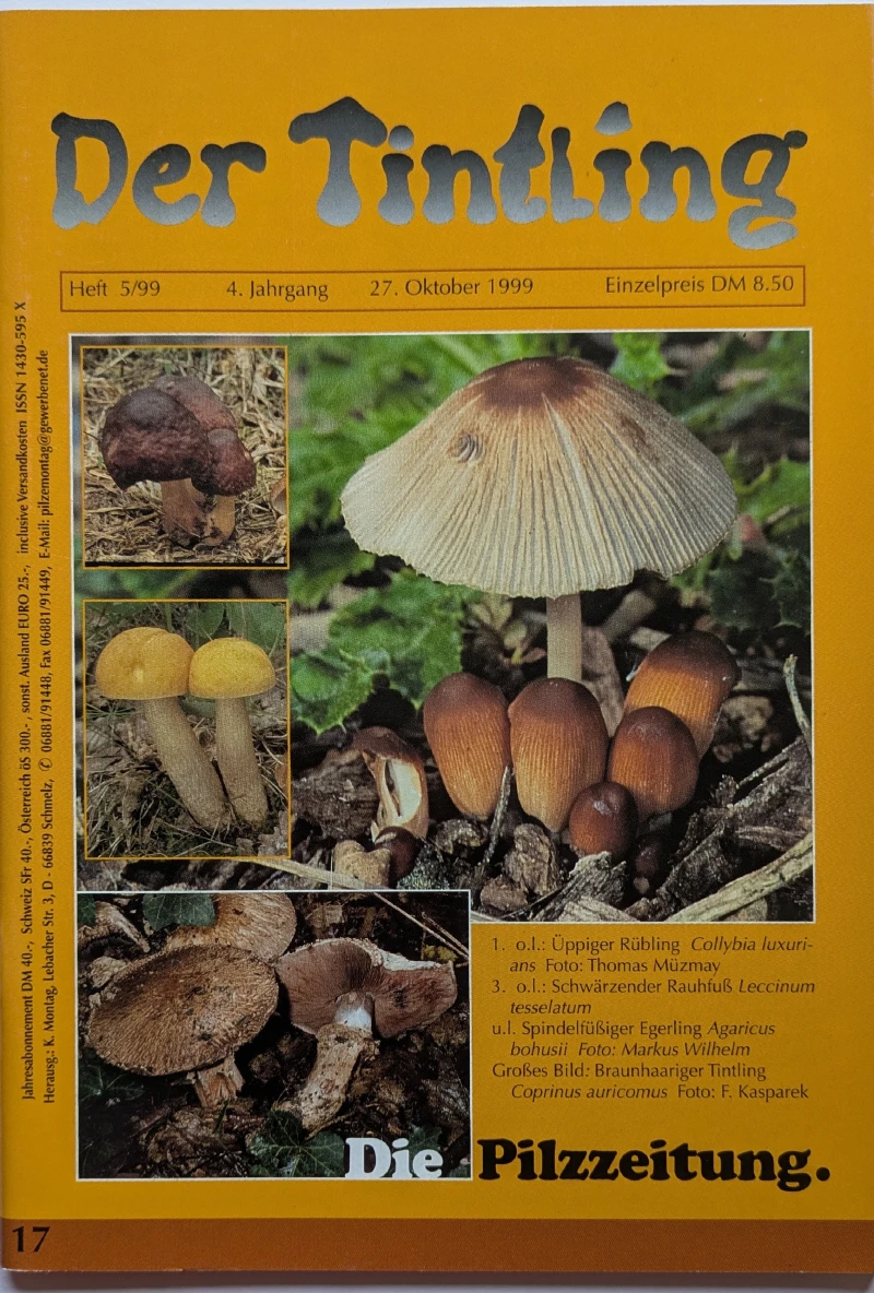 Der Tintling - Ausgabe 17