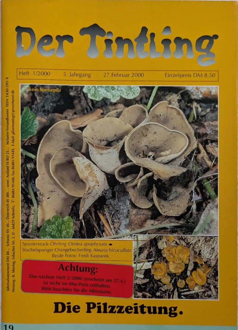 Der Tintling - Ausgabe 19