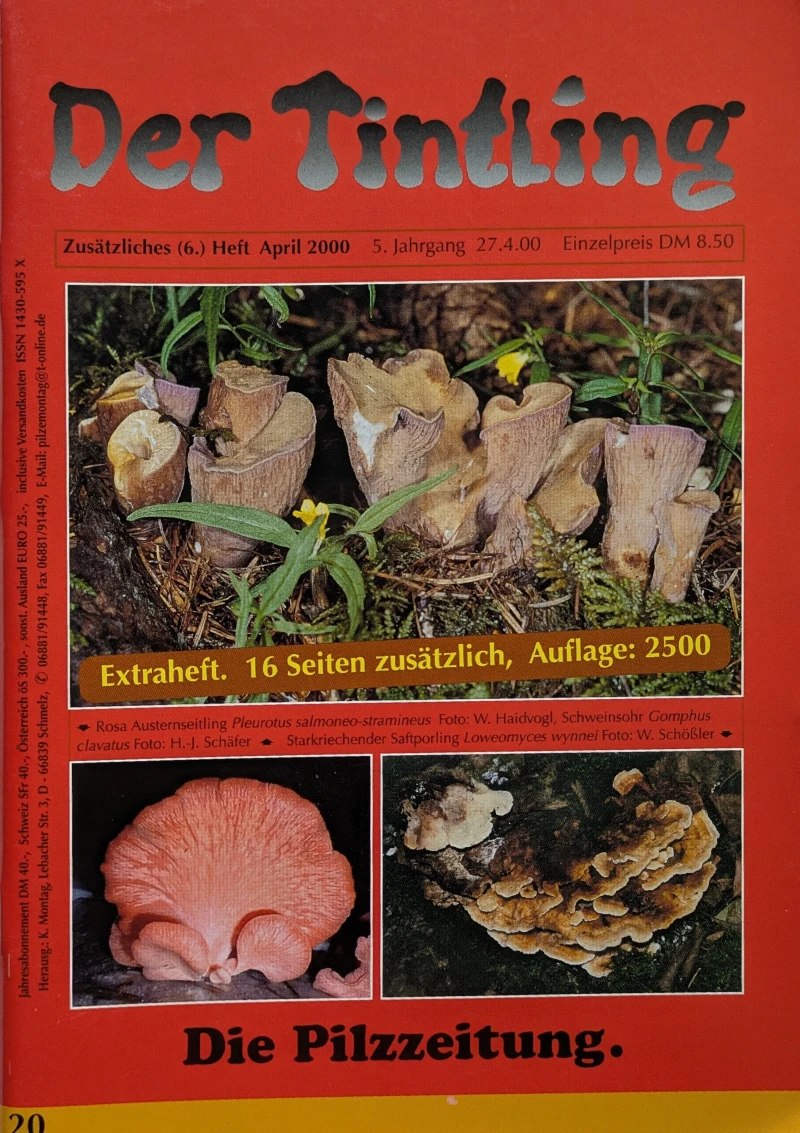 Der Tintling - Ausgabe 20