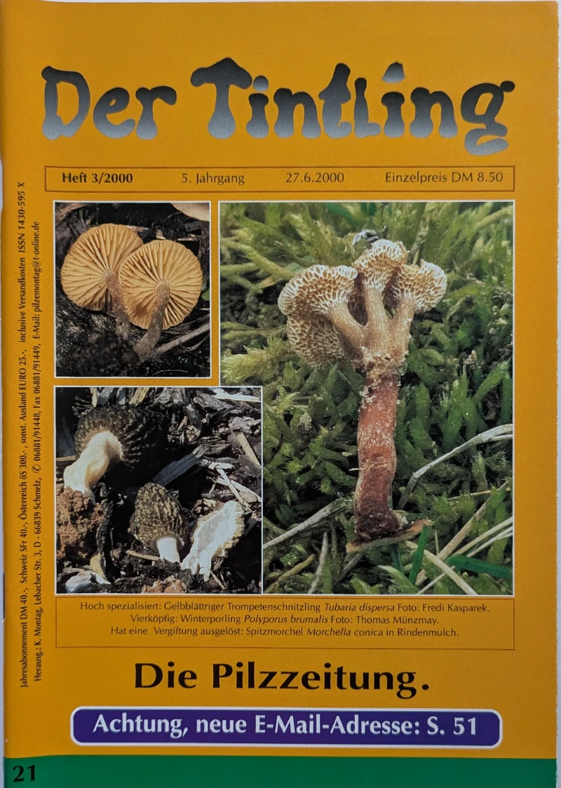 Der Tintling - Ausgabe 21