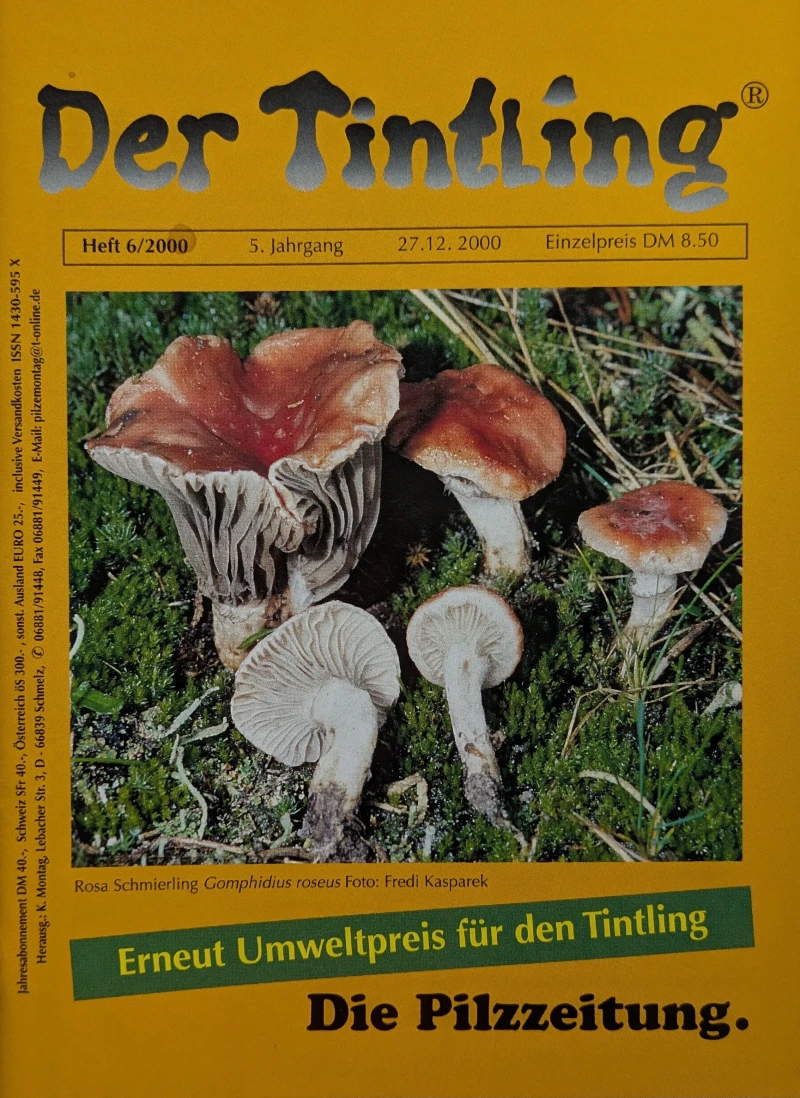 Der Tintling - Ausgabe 24