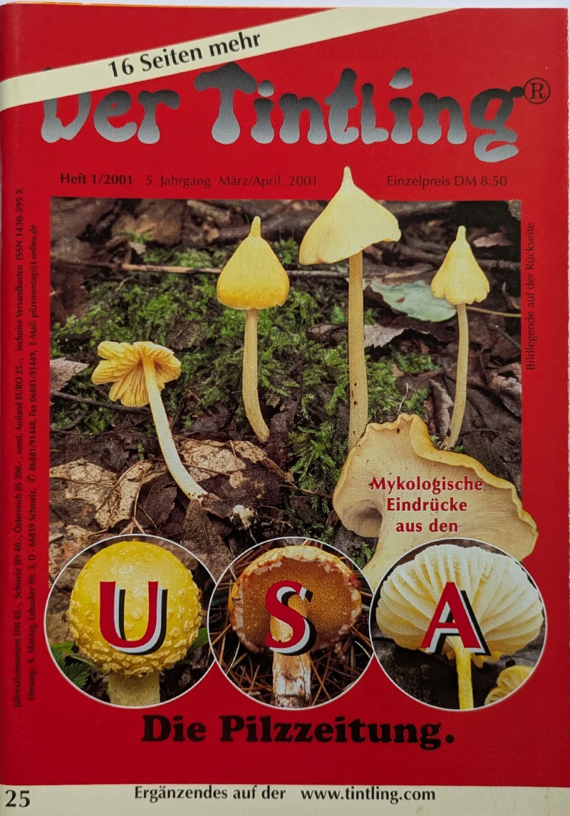Der Tintling - Ausgabe 25