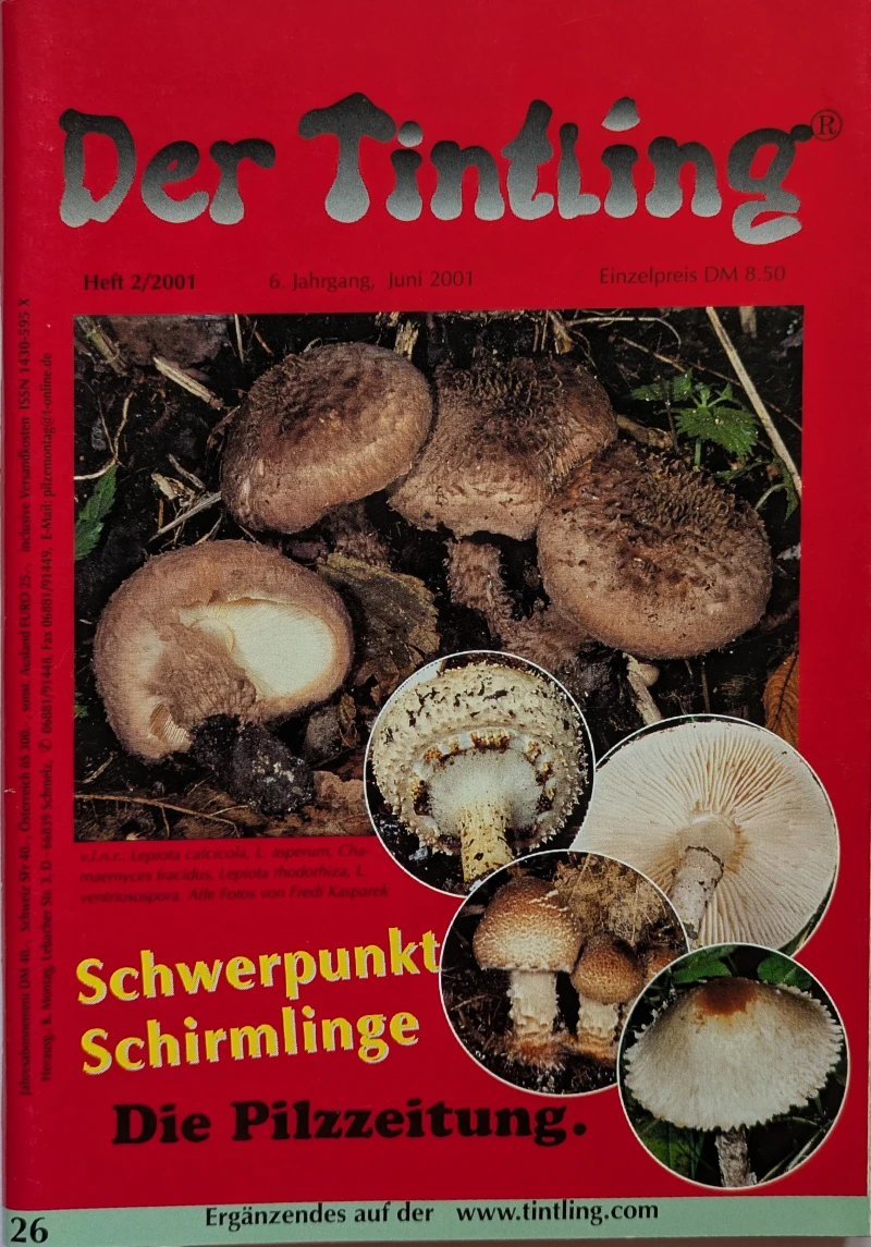 Der Tintling - Ausgabe 26