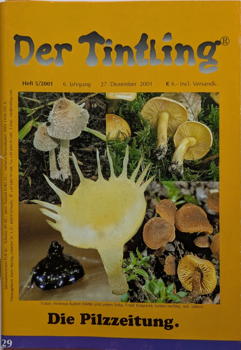 Der Tintling - Ausgabe 28