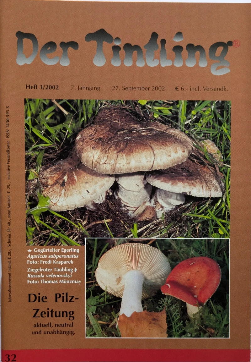 Der Tintling - Ausgabe 32