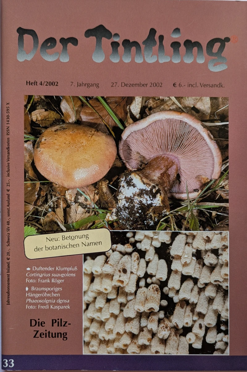 Der Tintling - Ausgabe 33