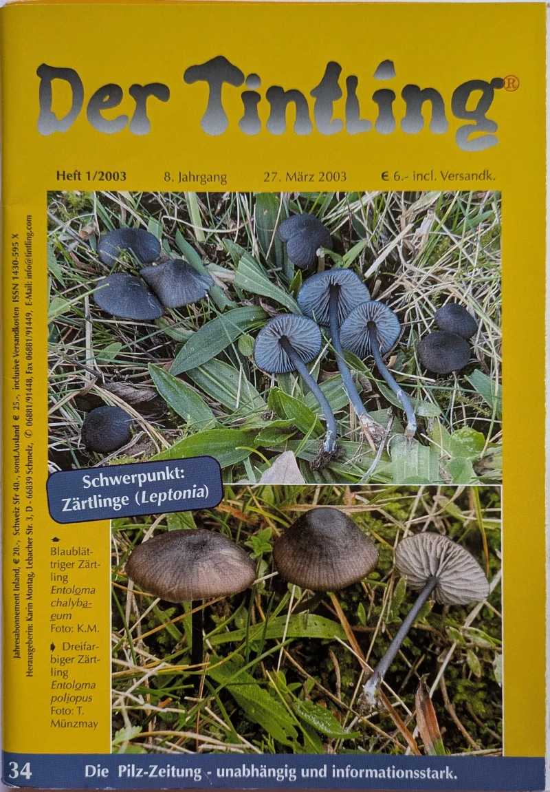 Der Tintling - Ausgabe 34