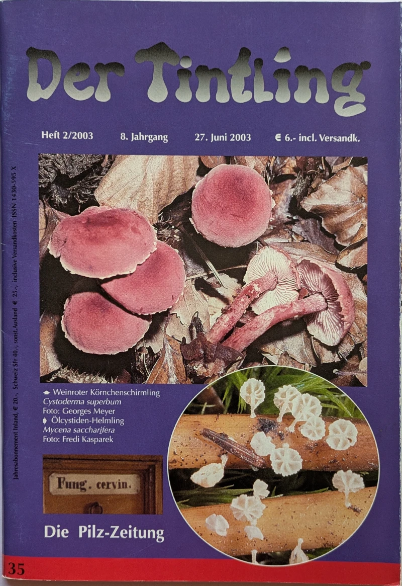Der Tintling - Ausgabe 35
