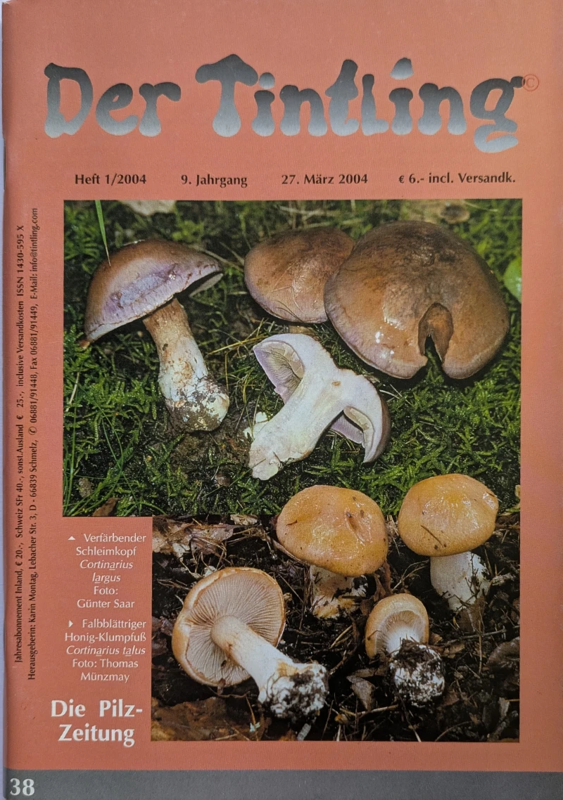 Der Tintling - Ausgabe 38