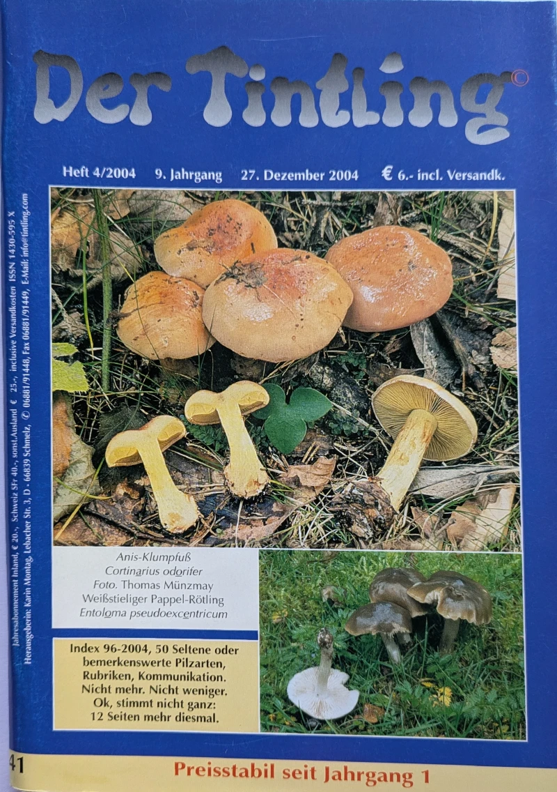 Der Tintling - Ausgabe 41