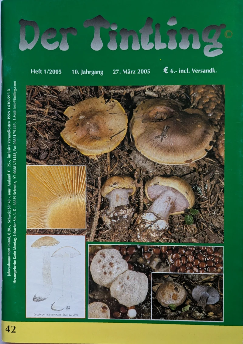 Der Tintling - Ausgabe 42