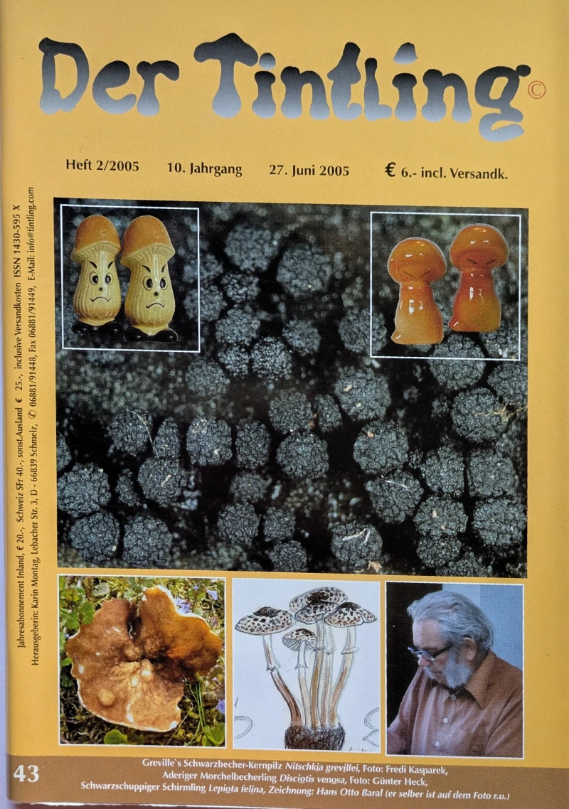 Der Tintling - Ausgabe 43