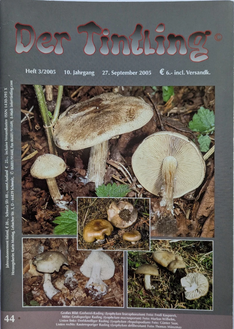 Der Tintling - Ausgabe 44