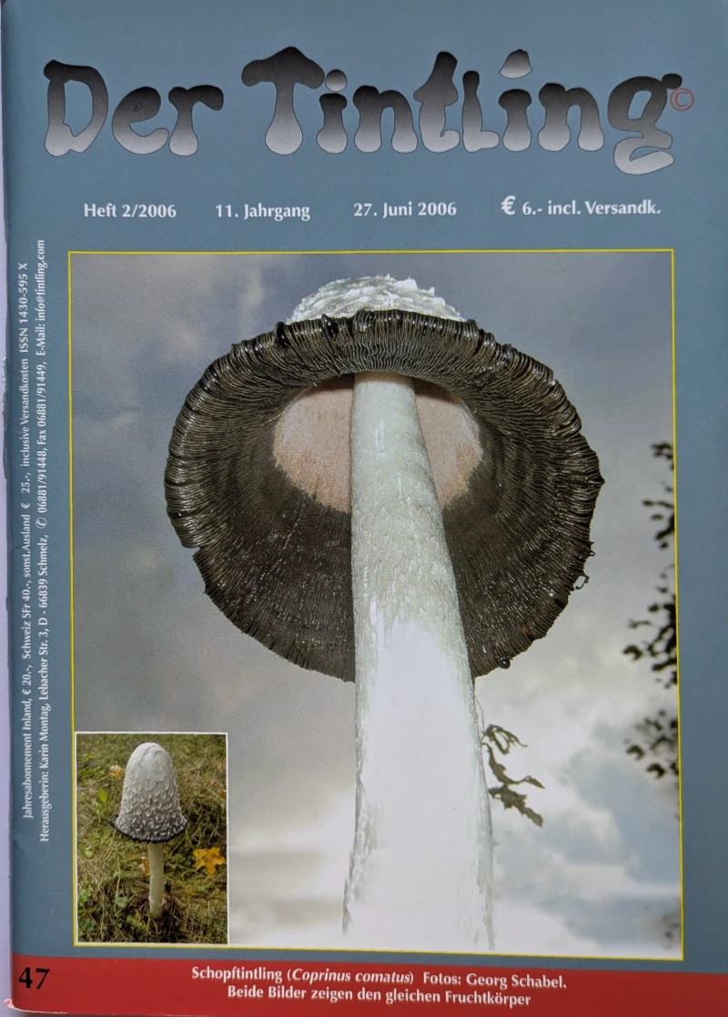 Der Tintling - Ausgabe 47