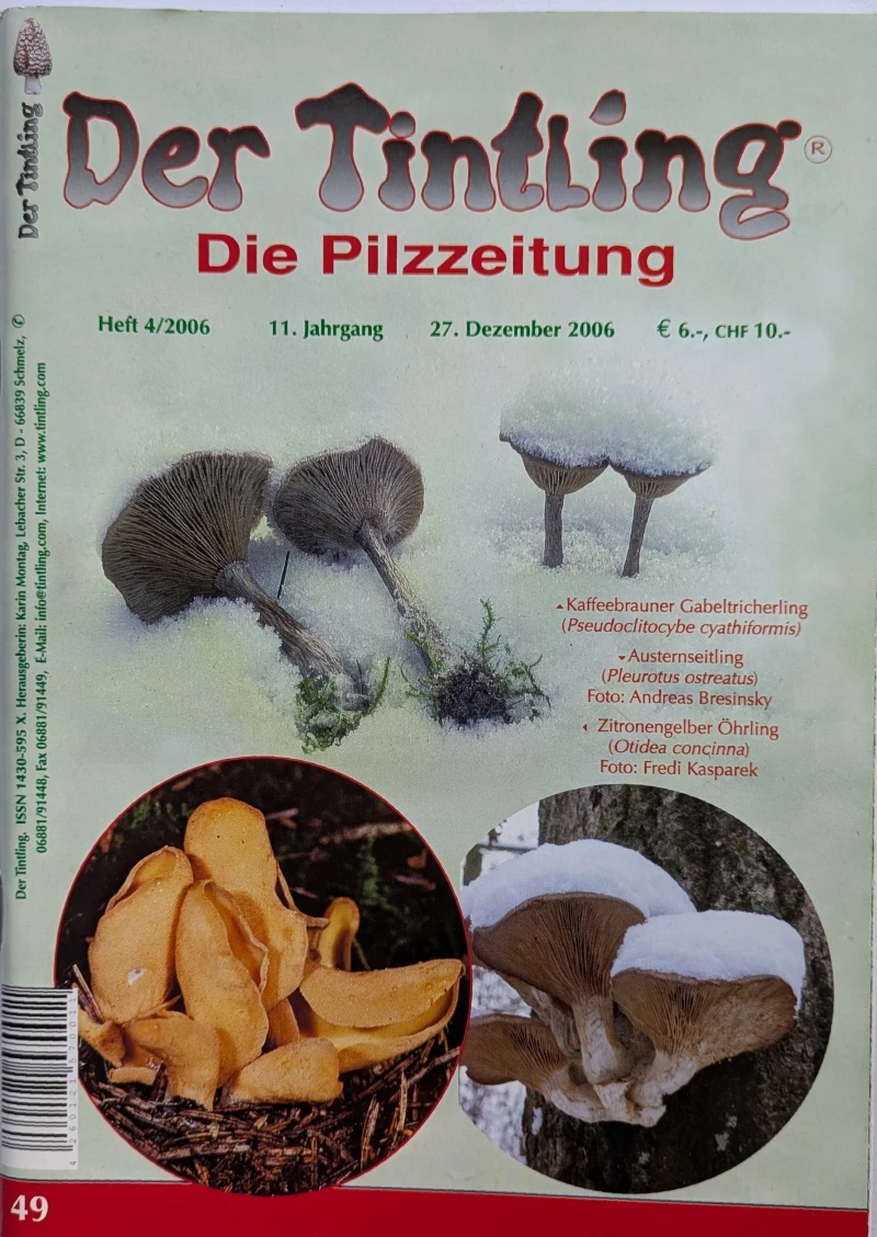Der Tintling - Ausgabe 49