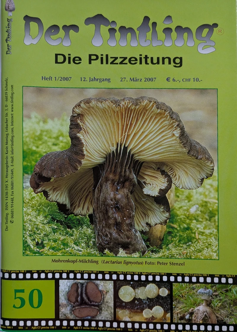 Der Tintling - Ausgabe 50