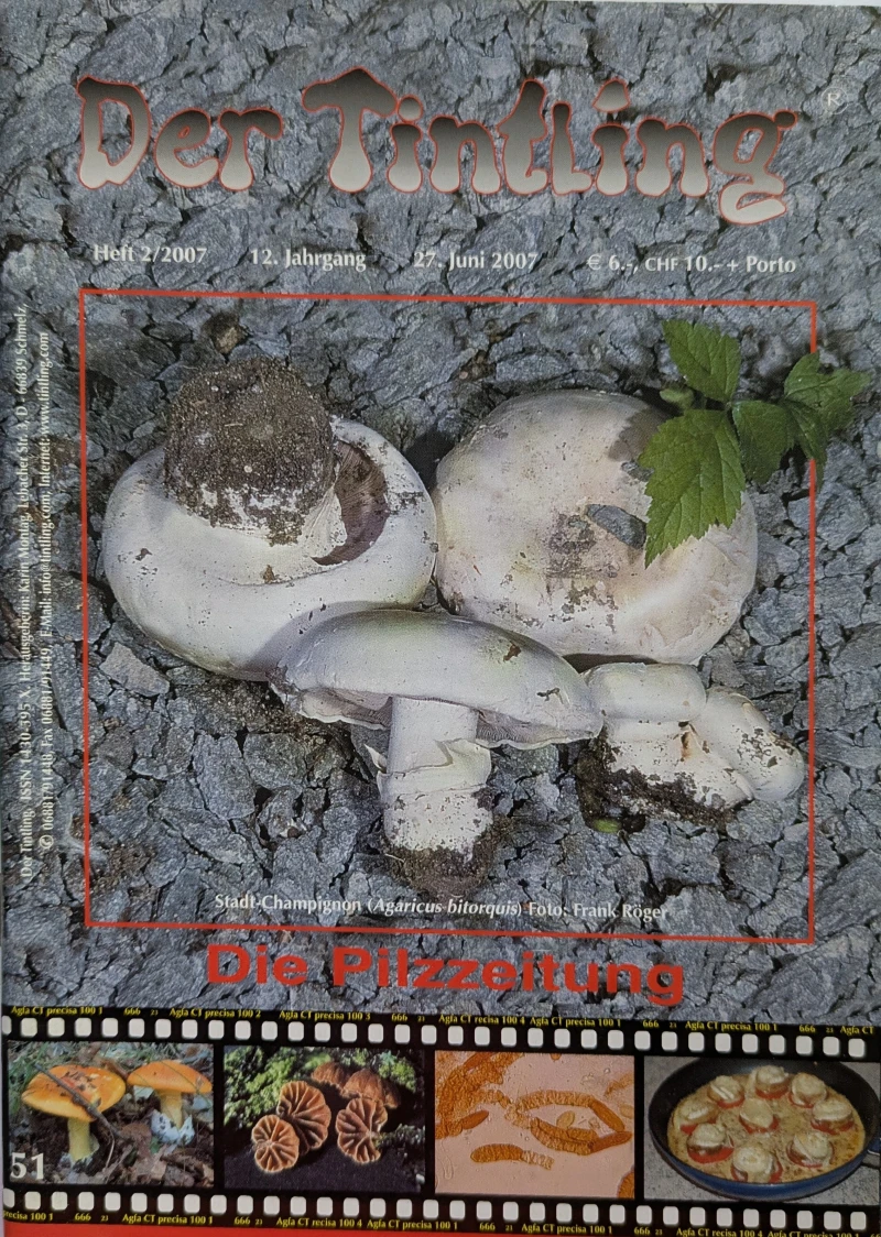 Der Tintling - Ausgabe 51
