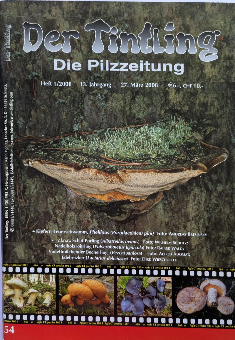 Der Tintling - Ausgabe 54